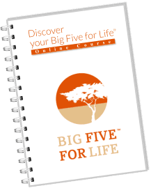 Big Five for Life PDF